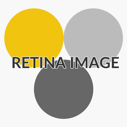Retina Image Demo